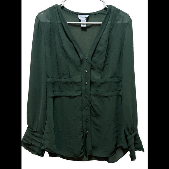 Soft Surroundings Green Sheer Collared V-Neck Tunic Blouse Long Sleeve M - Picture 1 of 4